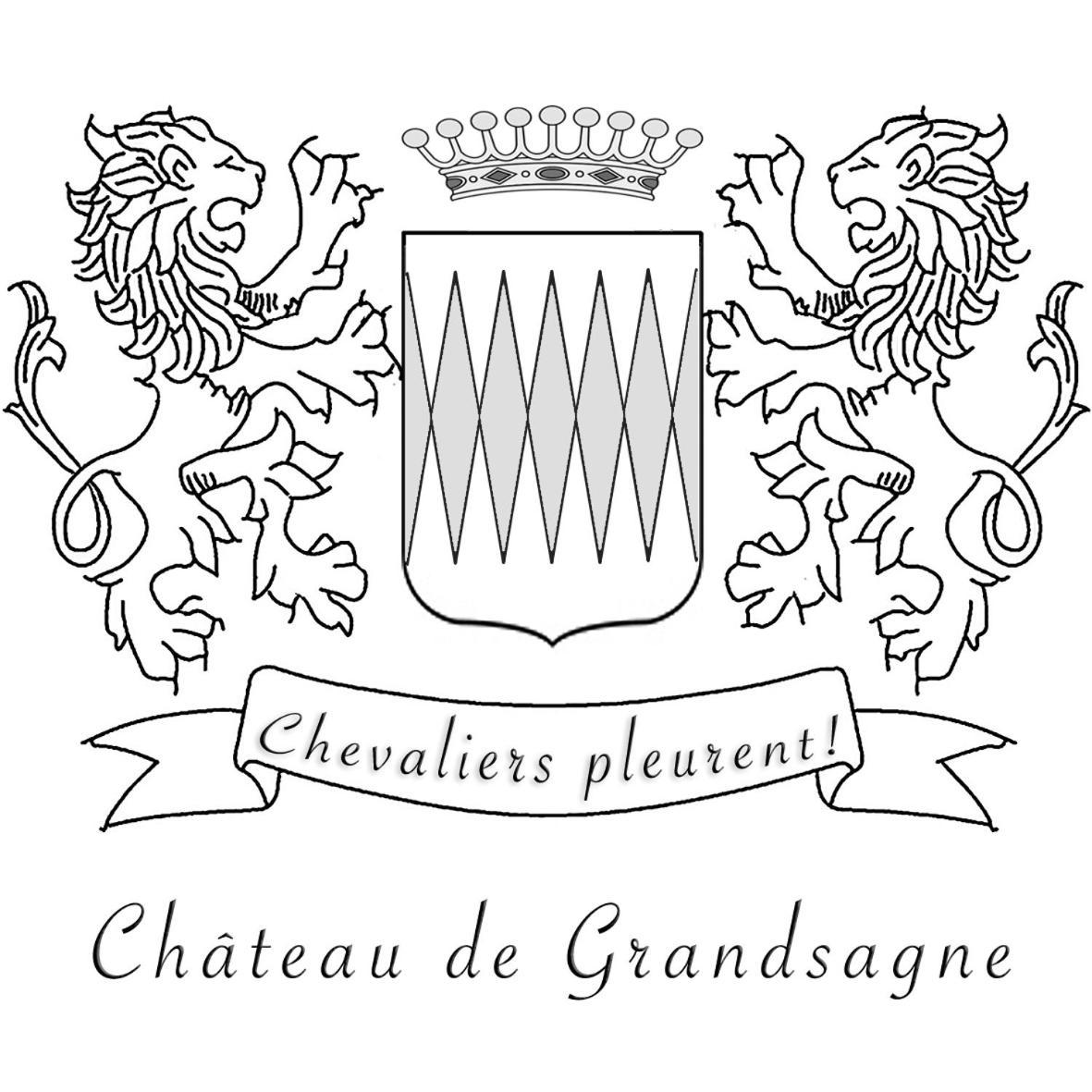Chateau De Grandsagne Bonnat Exteriér fotografie