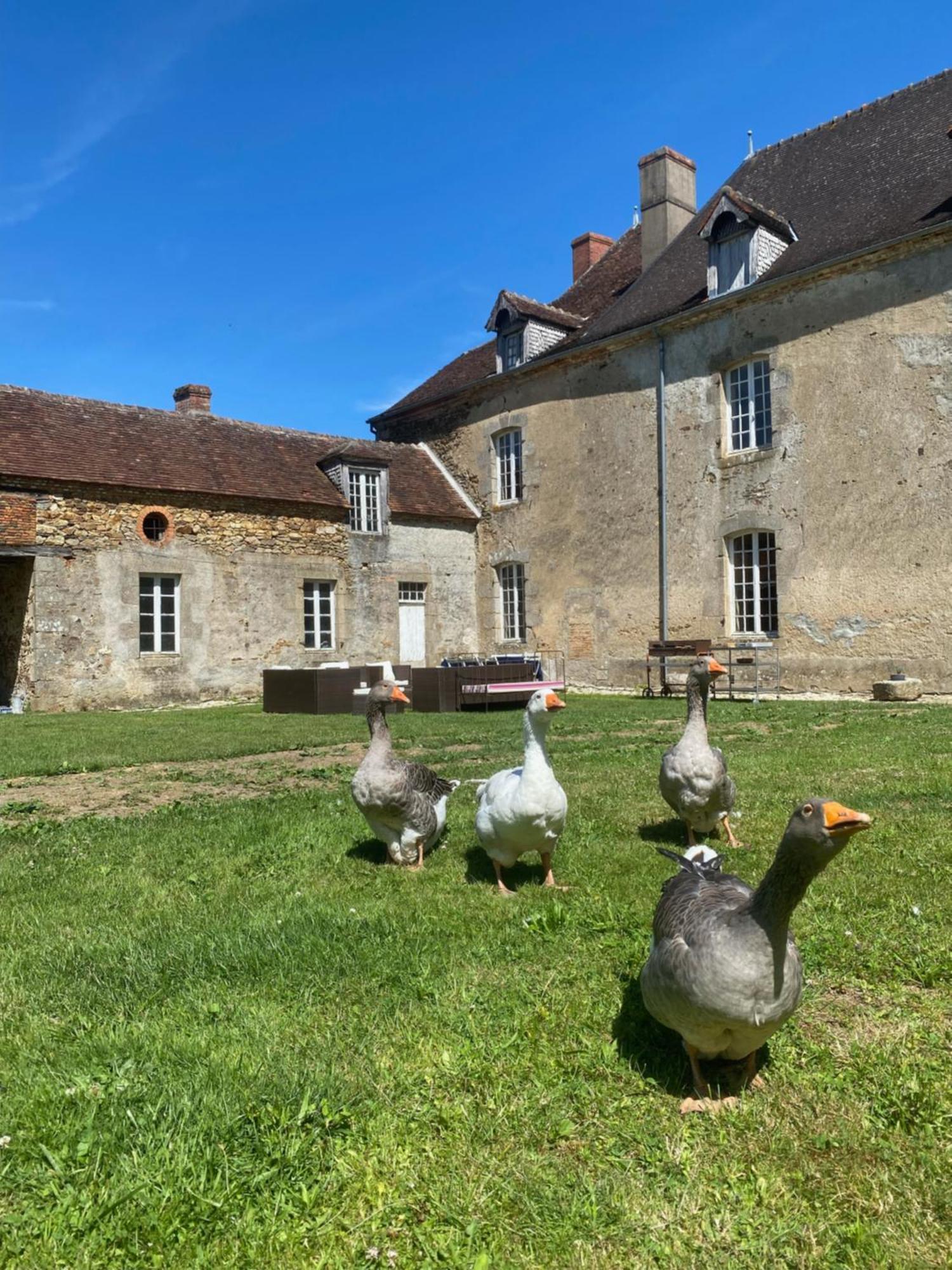 Chateau De Grandsagne Bonnat Exteriér fotografie